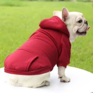 Thick Hooded Dog Sweater — Warm Autumn/Winter Coat for Small Dogs