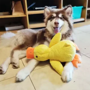 Durable Stomping Duck Dog Toy – Teeth-Cleaning Plush for Large Dogs