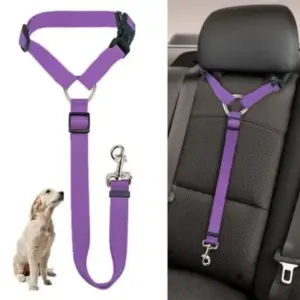 2‑in‑1 Nylon Car Seat Belt & Leash — Adjustable Dog Safety Tether for Backseat