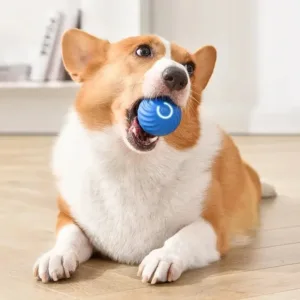Interactive USB Rechargeable Smart Dog & Cat Toy Ball – Automatic Bouncing Fun for Puppies