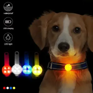 USB Rechargeable Waterproof LED Pet Collar — Night Safety & Anti‑Lost Light for Dogs & Cats