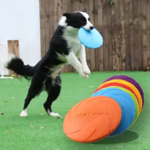 Bite-Resistant Flying Disc Dog Toy — Durable Outdoor Training & Interactive Play